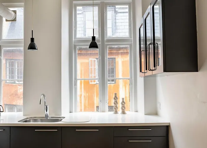 Rare 4br W Unique Details In Cph Κοπεγχάγη