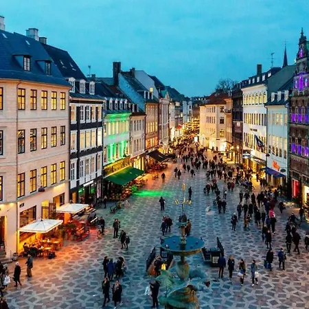 Rare 4br W Unique Details In Cph アパート *